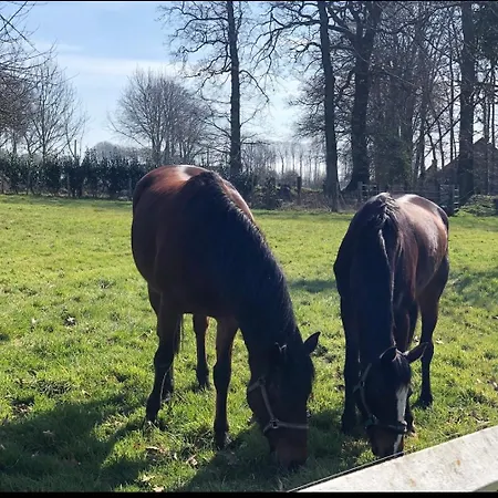 La Cour Aux Anes * Sassetot-le-Mauconduit